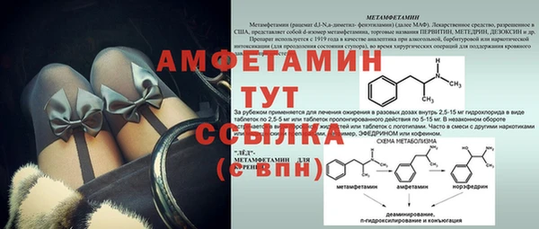 спиды Каменка