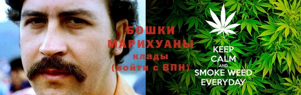 спиды Каменка