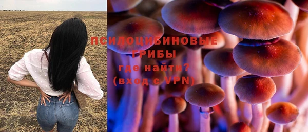 марихуана Каменногорск