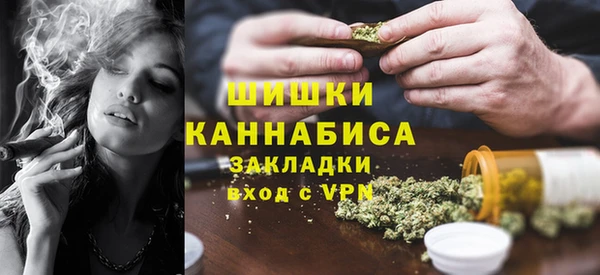 спиды Каменка
