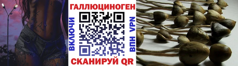 Купить закладки  Иланский  Галлюциногенные грибы мухоморы 